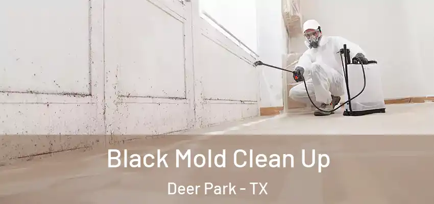  Black Mold Clean Up Deer Park - TX