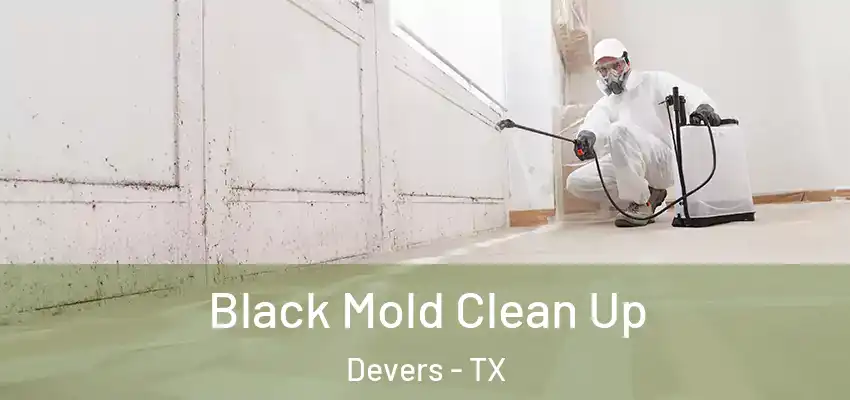  Black Mold Clean Up Devers - TX