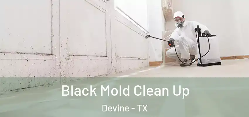  Black Mold Clean Up Devine - TX