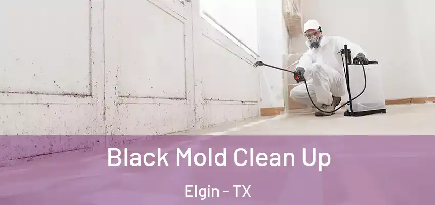  Black Mold Clean Up Elgin - TX