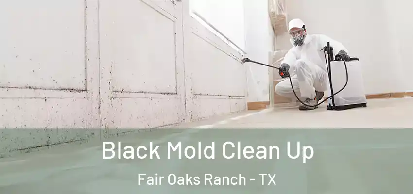  Black Mold Clean Up Fair Oaks Ranch - TX