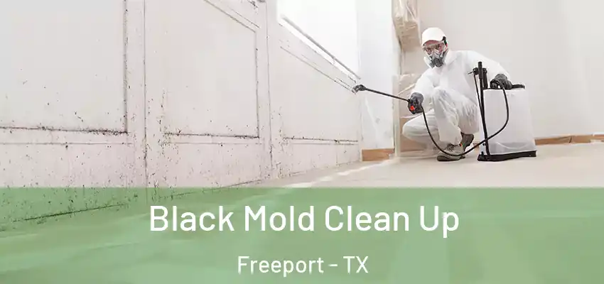  Black Mold Clean Up Freeport - TX