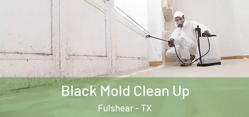  Black Mold Clean Up Fulshear - TX