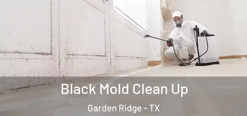  Black Mold Clean Up Garden Ridge - TX