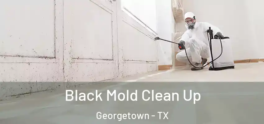  Black Mold Clean Up Georgetown - TX
