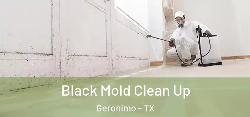  Black Mold Clean Up Geronimo - TX