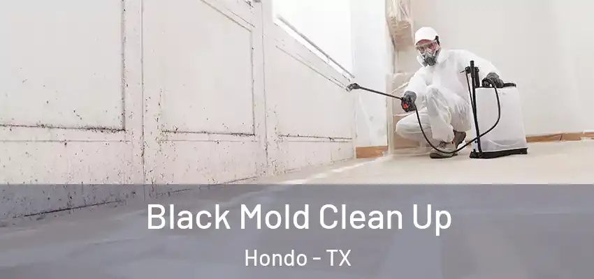  Black Mold Clean Up Hondo - TX