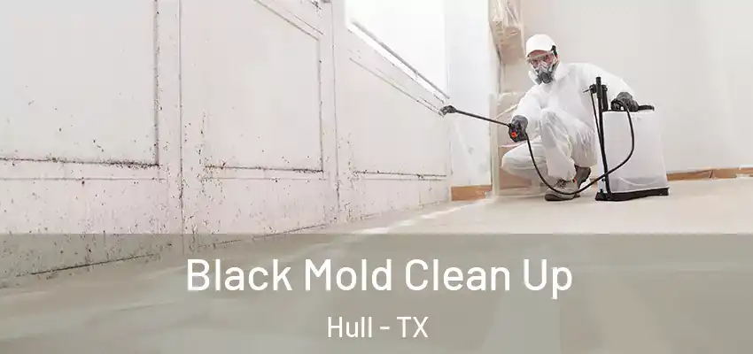  Black Mold Clean Up Hull - TX