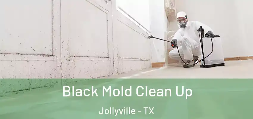  Black Mold Clean Up Jollyville - TX