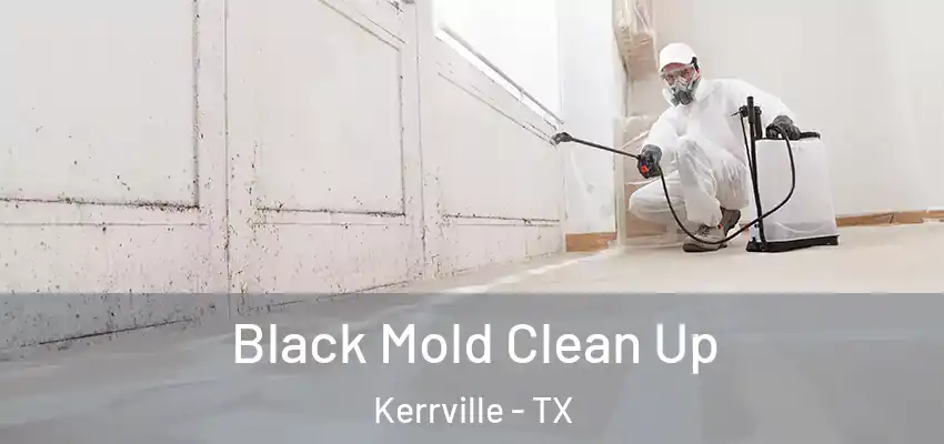  Black Mold Clean Up Kerrville - TX