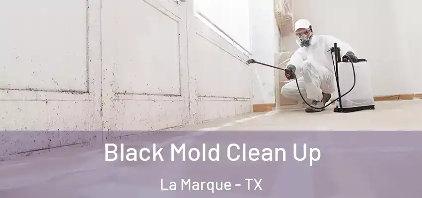  Black Mold Clean Up La Marque - TX