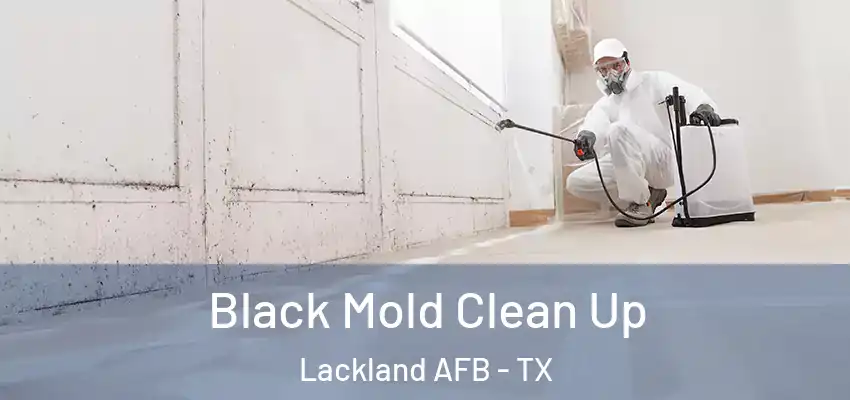  Black Mold Clean Up Lackland AFB - TX