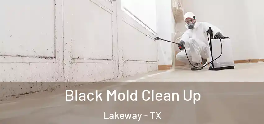  Black Mold Clean Up Lakeway - TX