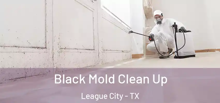  Black Mold Clean Up League City - TX
