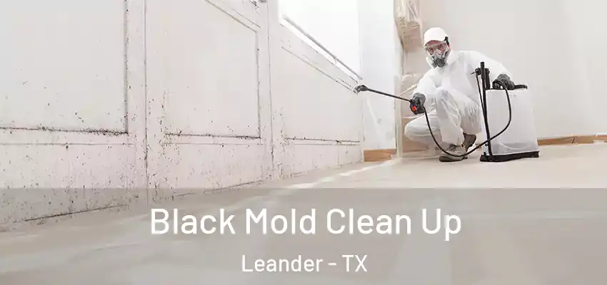  Black Mold Clean Up Leander - TX