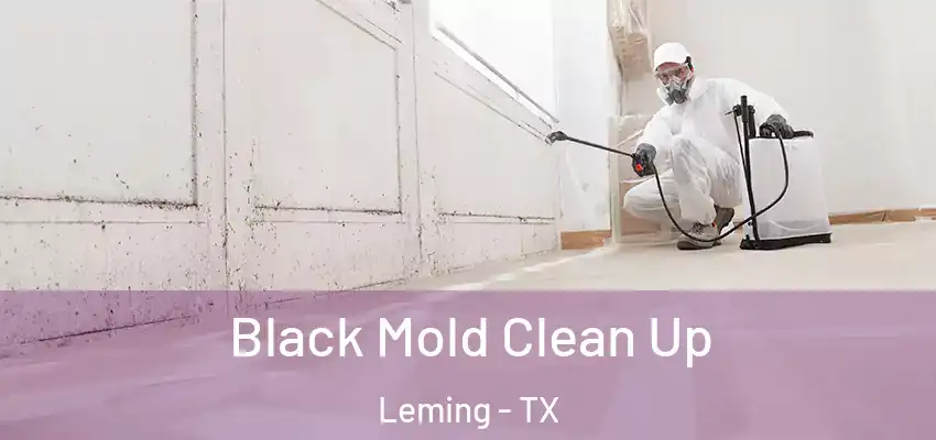  Black Mold Clean Up Leming - TX