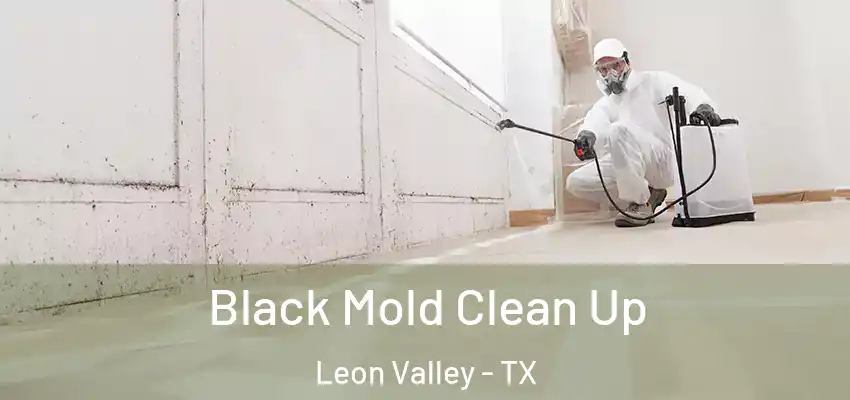  Black Mold Clean Up Leon Valley - TX