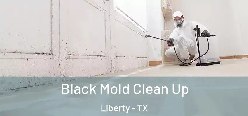  Black Mold Clean Up Liberty - TX