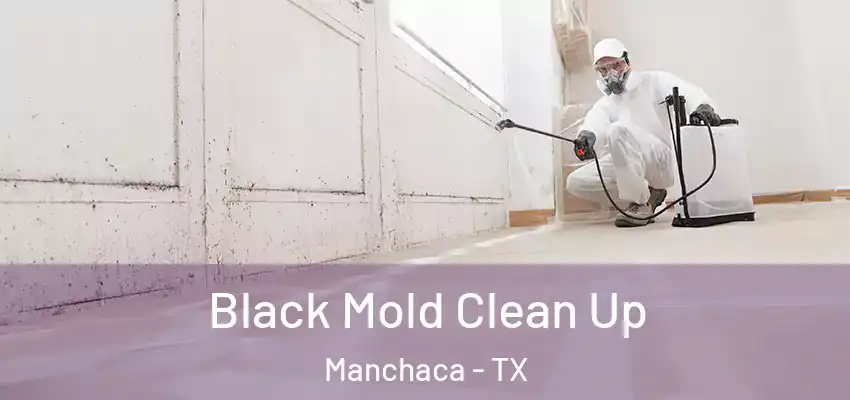  Black Mold Clean Up Manchaca - TX