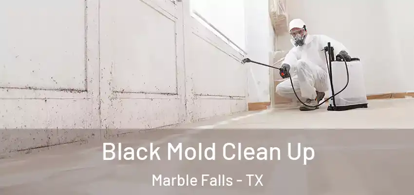  Black Mold Clean Up Marble Falls - TX