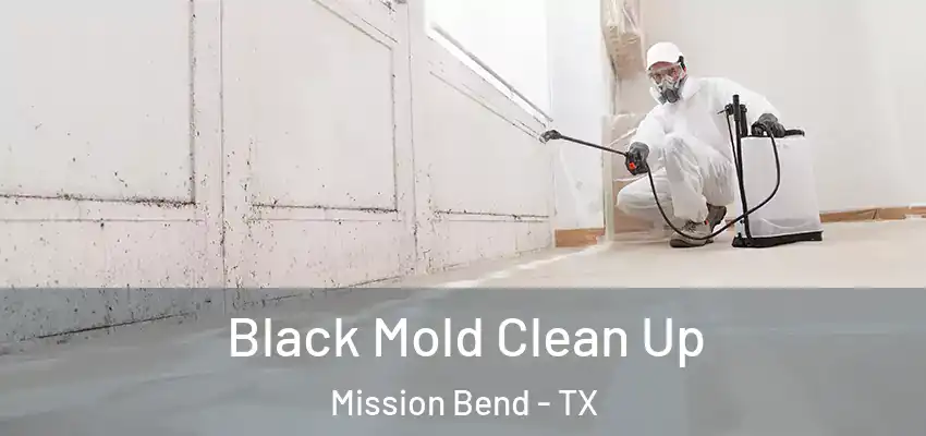  Black Mold Clean Up Mission Bend - TX