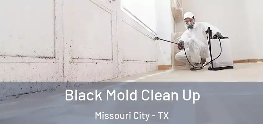  Black Mold Clean Up Missouri City - TX