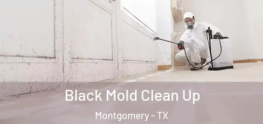  Black Mold Clean Up Montgomery - TX