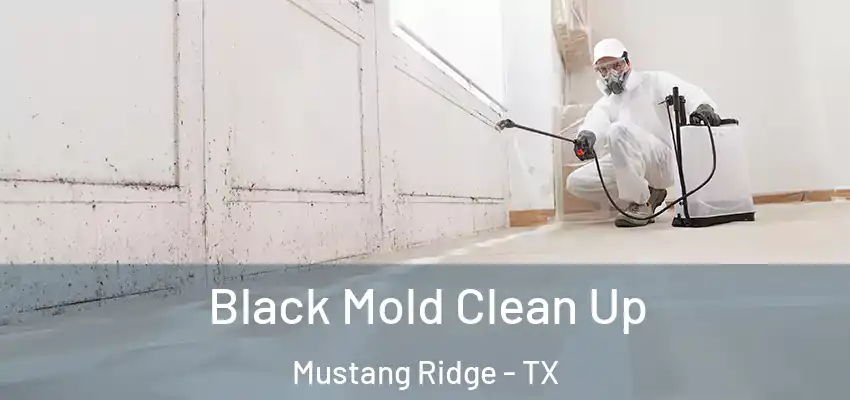  Black Mold Clean Up Mustang Ridge - TX