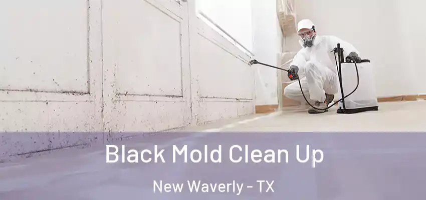  Black Mold Clean Up New Waverly - TX