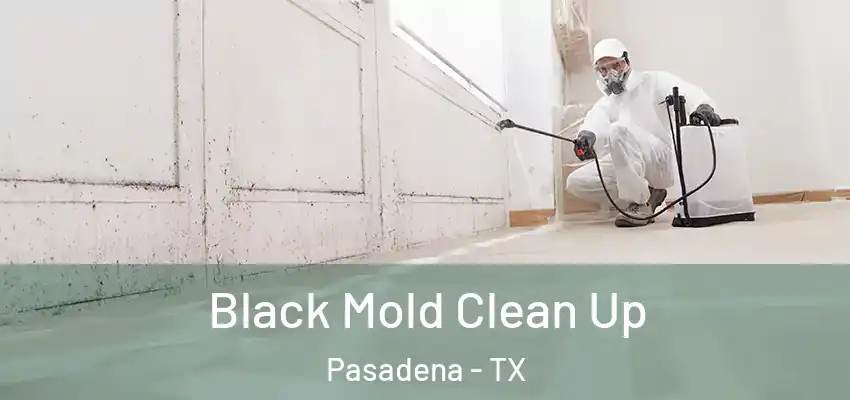  Black Mold Clean Up Pasadena - TX