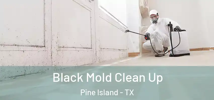  Black Mold Clean Up Pine Island - TX