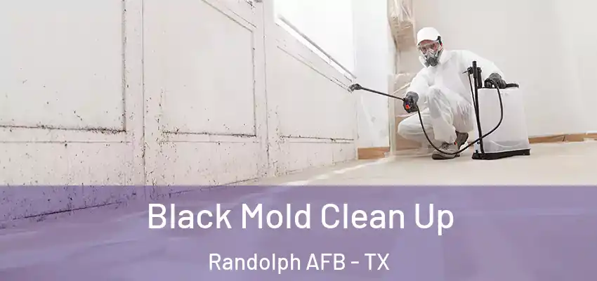  Black Mold Clean Up Randolph AFB - TX