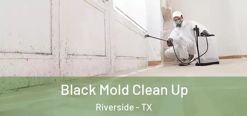  Black Mold Clean Up Riverside - TX