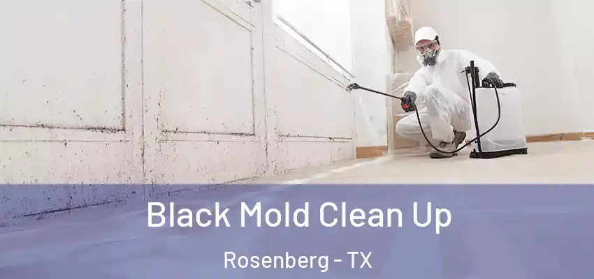  Black Mold Clean Up Rosenberg - TX