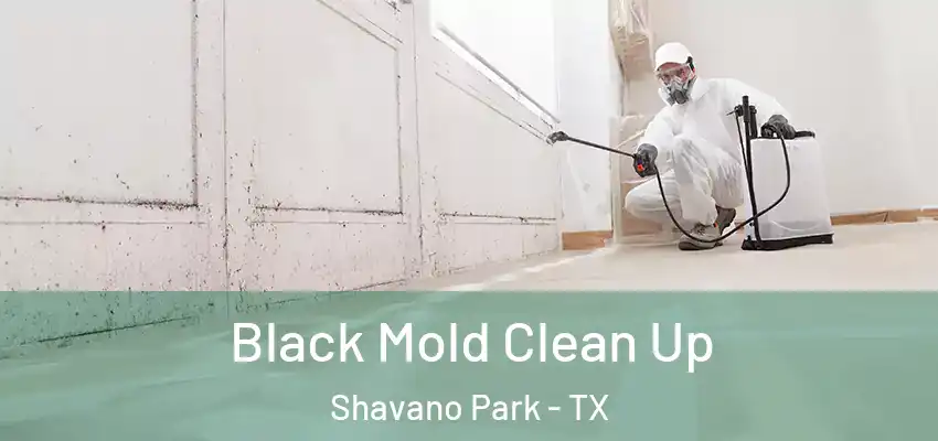  Black Mold Clean Up Shavano Park - TX