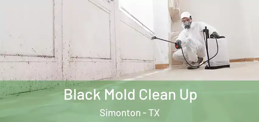  Black Mold Clean Up Simonton - TX
