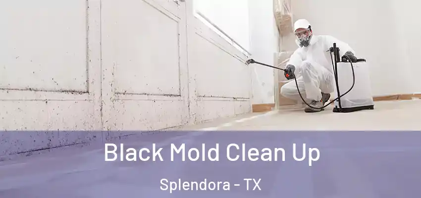  Black Mold Clean Up Splendora - TX