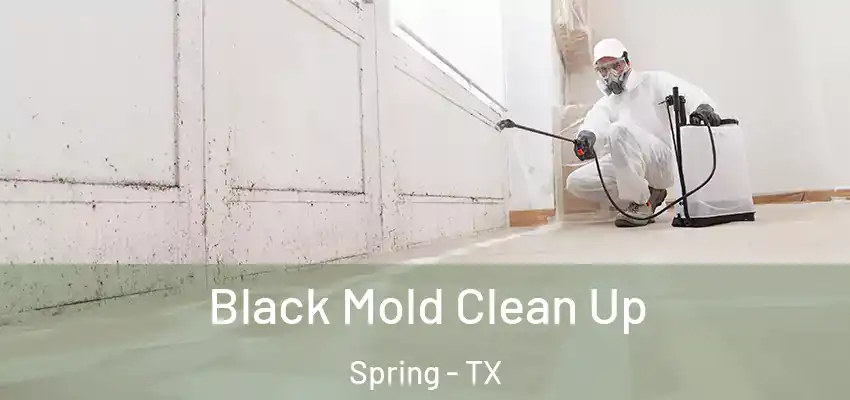  Black Mold Clean Up Spring - TX