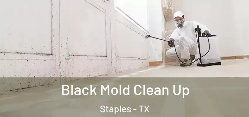  Black Mold Clean Up Staples - TX