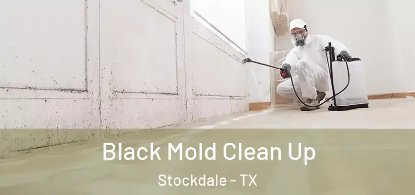  Black Mold Clean Up Stockdale - TX