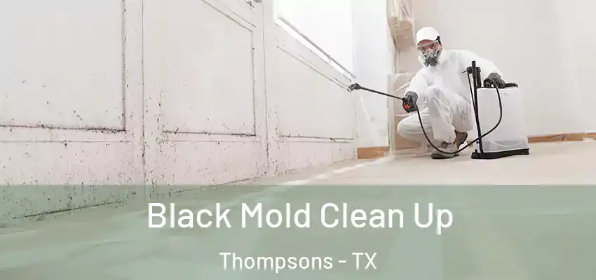  Black Mold Clean Up Thompsons - TX