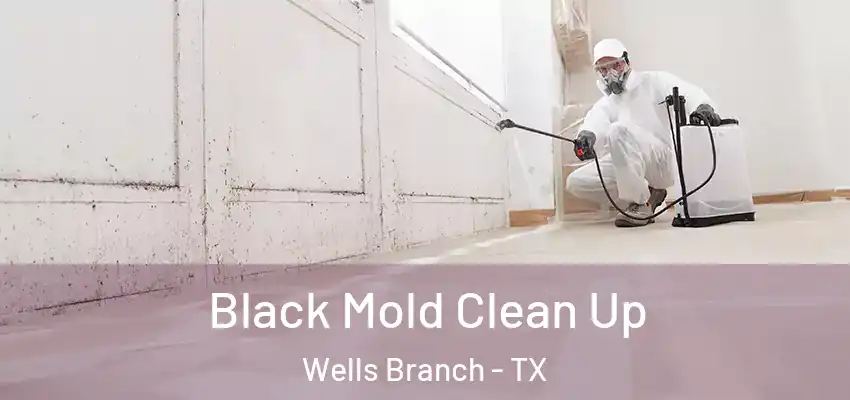 Black Mold Clean Up Wells Branch - TX