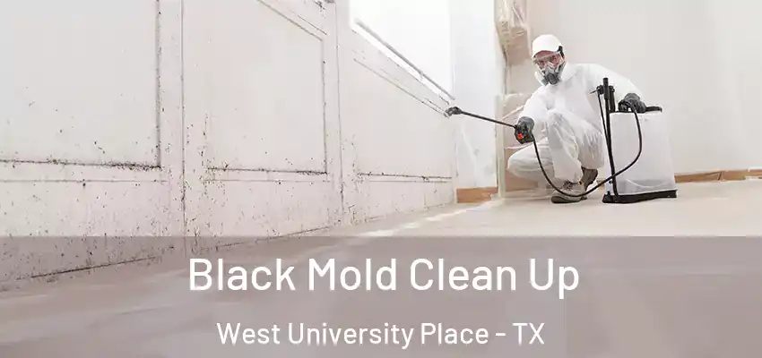  Black Mold Clean Up West University Place - TX