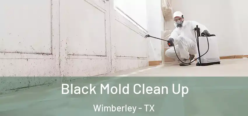 Black Mold Clean Up Wimberley - TX