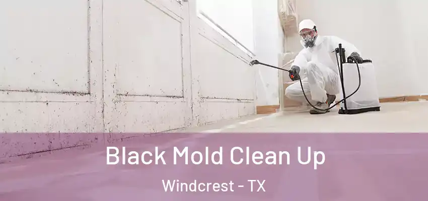 Black Mold Clean Up Windcrest - TX