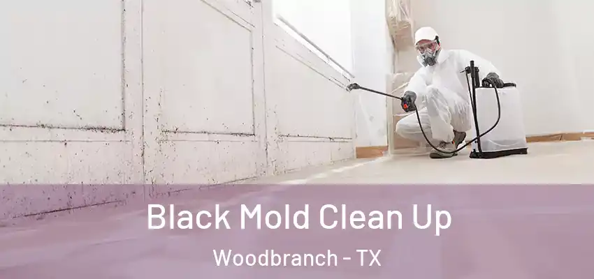  Black Mold Clean Up Woodbranch - TX