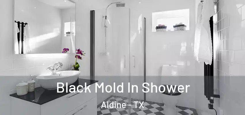  Black Mold In Shower Aldine - TX