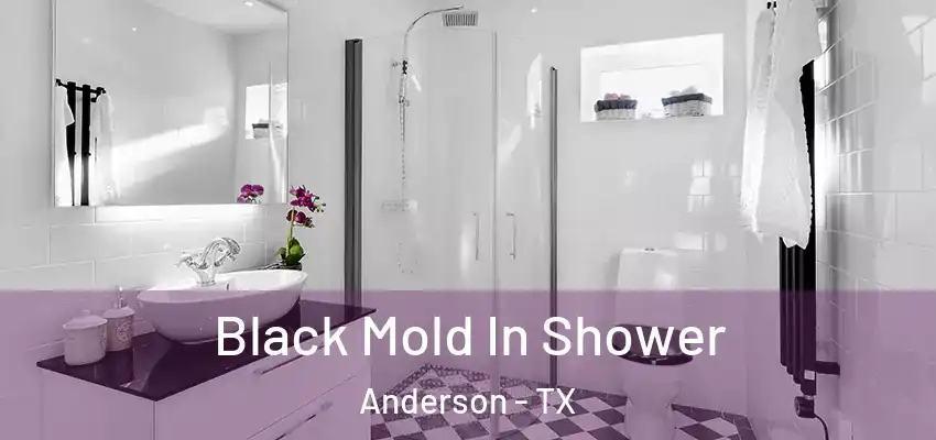  Black Mold In Shower Anderson - TX