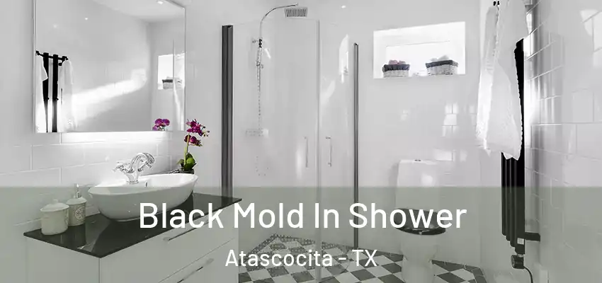  Black Mold In Shower Atascocita - TX