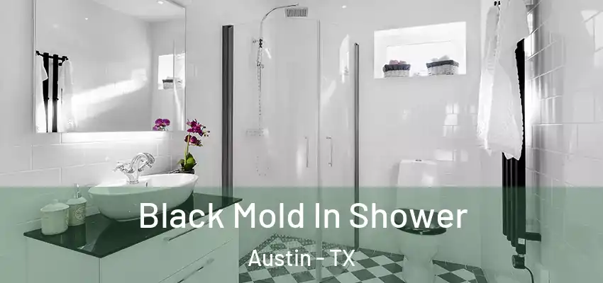  Black Mold In Shower Austin - TX